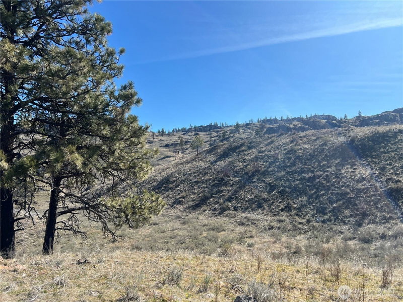 0 NNA Soap Lake Road photo 1