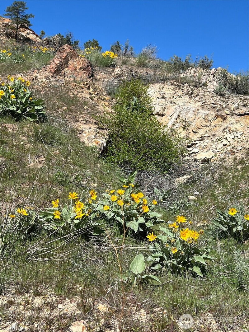 0 NNA Soap Lake Road photo 15