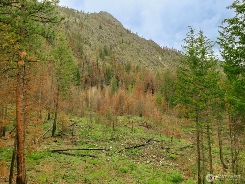 0 Wolf Creek Road photo 4