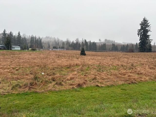 102 Maulwee Drive photo 2