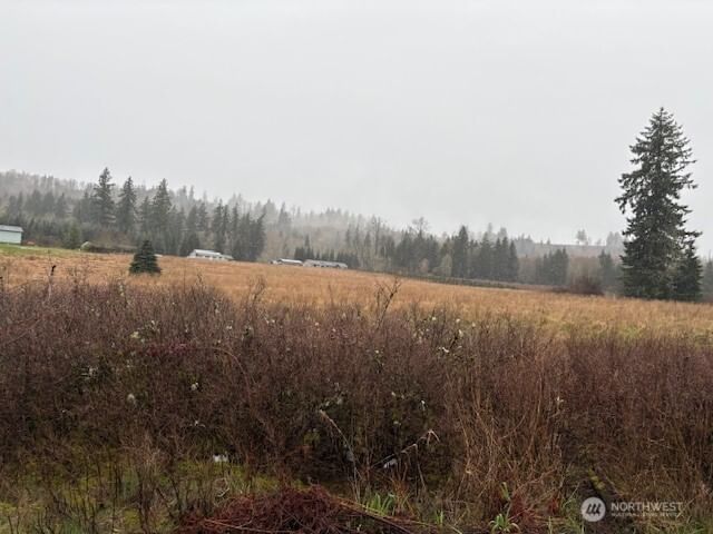 102 Maulwee Drive photo 3