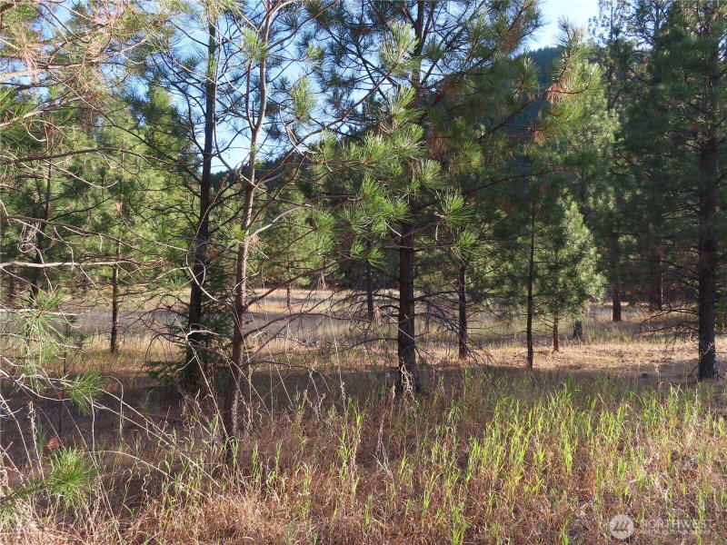 0 Toroda Creek Road photo 2