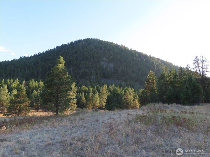 0 Toroda Creek Road photo 28