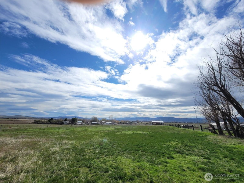 2600 Watson Road photo 1