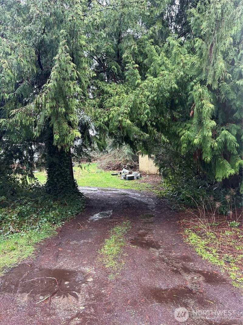9508 204th Ave E photo 4