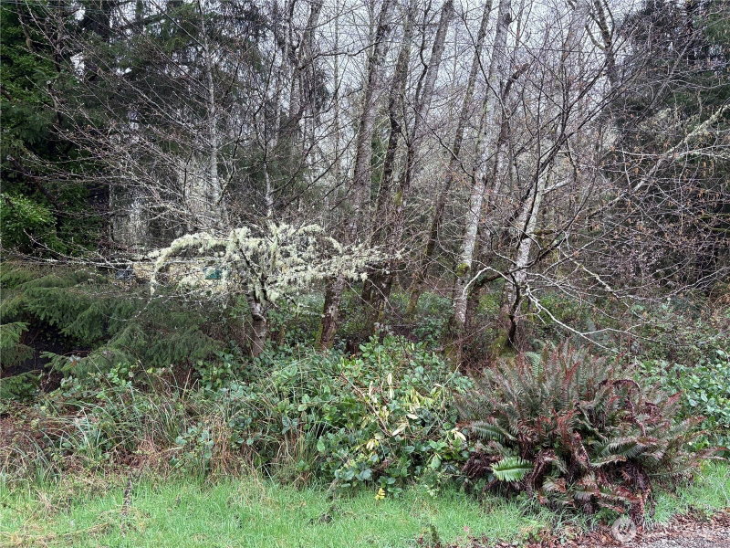 303 XX Stackpole Lane photo 2