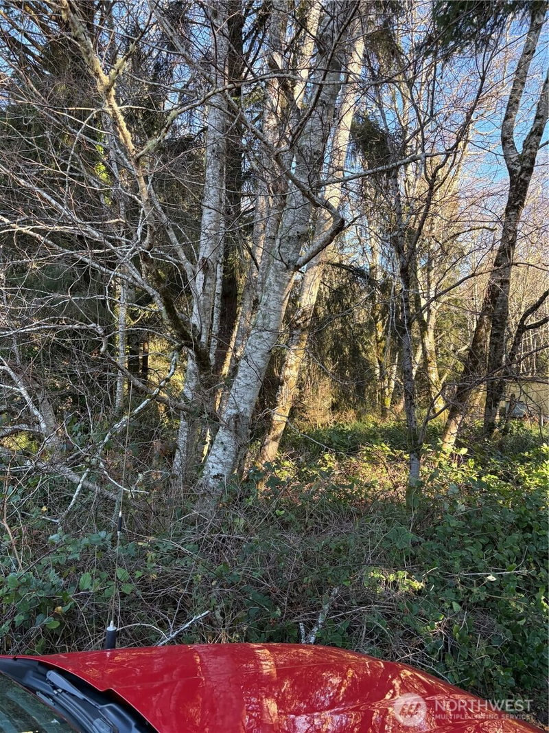 303 XX Stackpole Lane photo 9