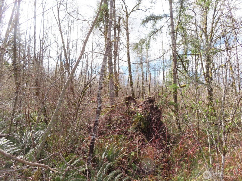 125 Oppelt Road photo 24