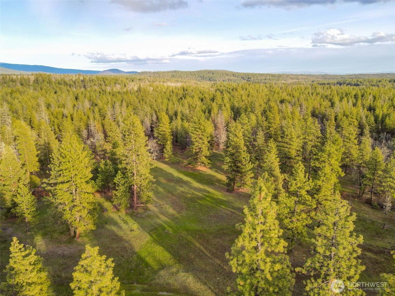 0 Lot 8 Greyback Mountain Road photo 1