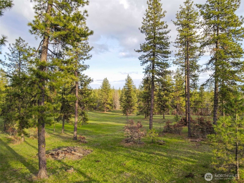0 Lot 8 Greyback Mountain Road photo 2