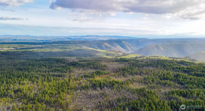 0 Lot 8 Greyback Mountain Road photo 4
