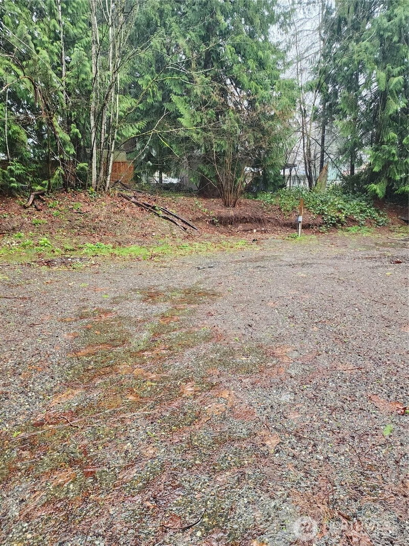 10115 226th Avenue Ct E photo 2