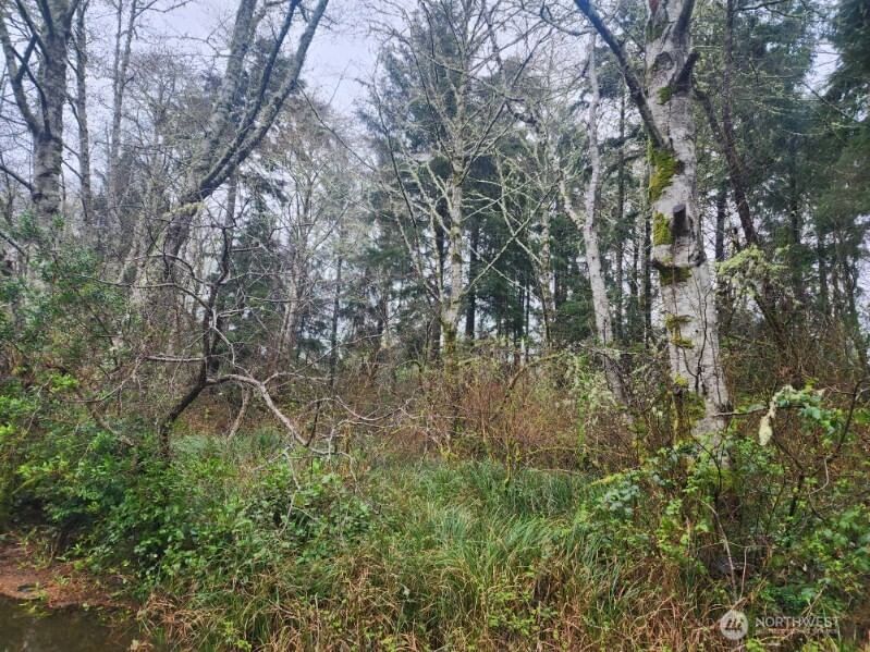 670 Weatherwax Loop NE photo 2