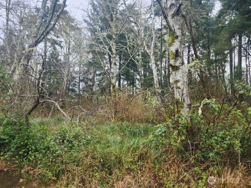 670 Weatherwax Loop NE photo 5