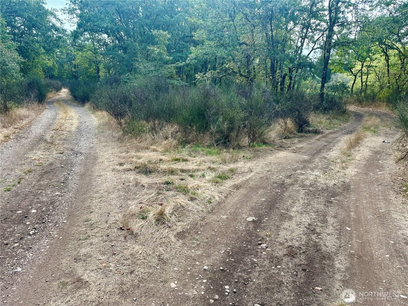 0 Dannie Womer Lane photo 21