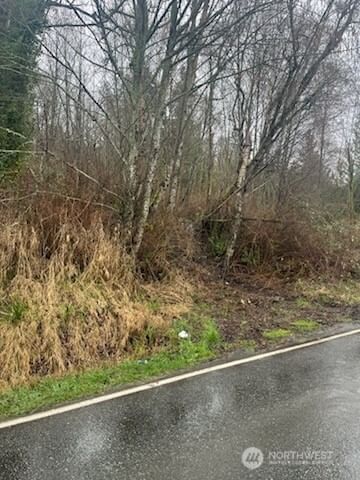 13003 67th Avenue NE photo 2
