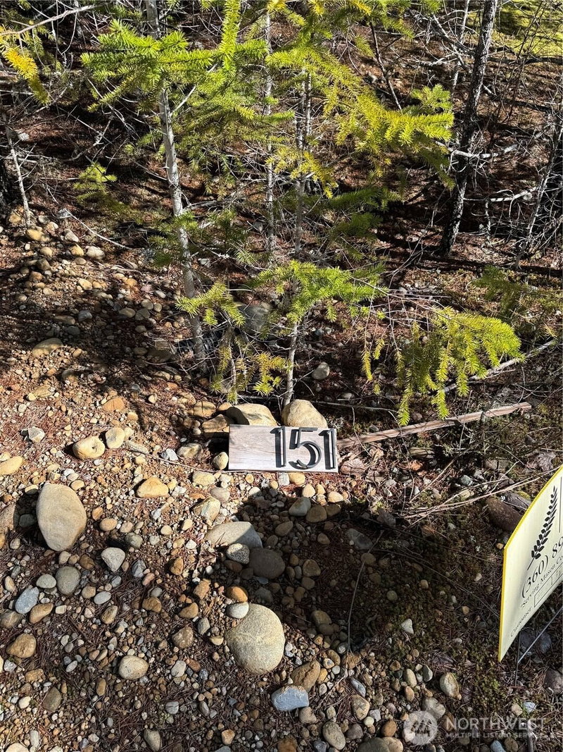 151 E Amy Court photo 12