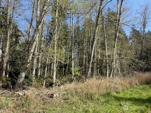 0 Lot 18 Ander Park Road photo 2