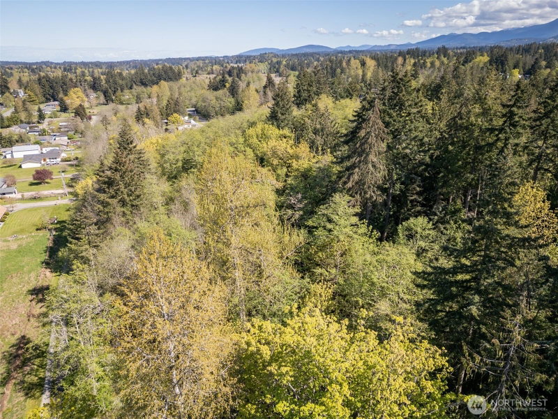 0 NKA Roy Street photo 27