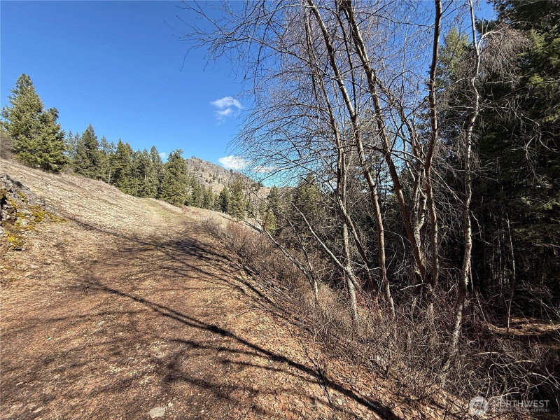 0 Coogan Creek Road photo 2