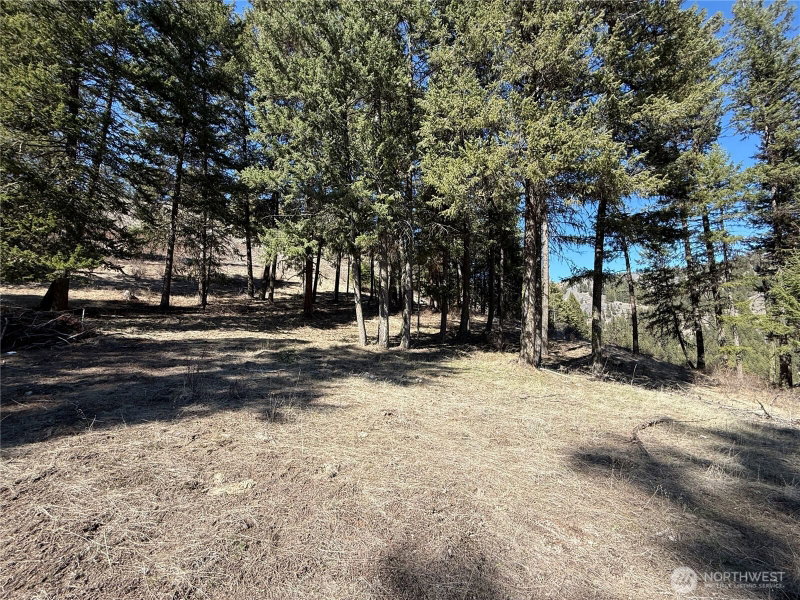 0 Coogan Creek Road photo 18