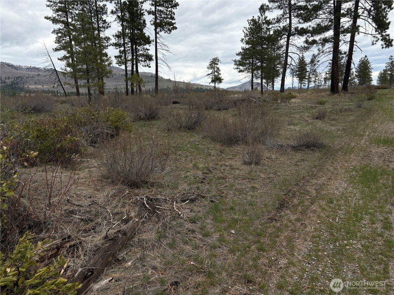 1 N Cook Mt Road photo 6