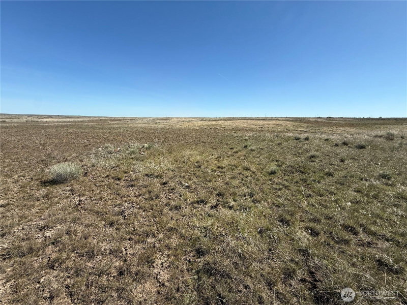0 Black Rock Road N photo 18