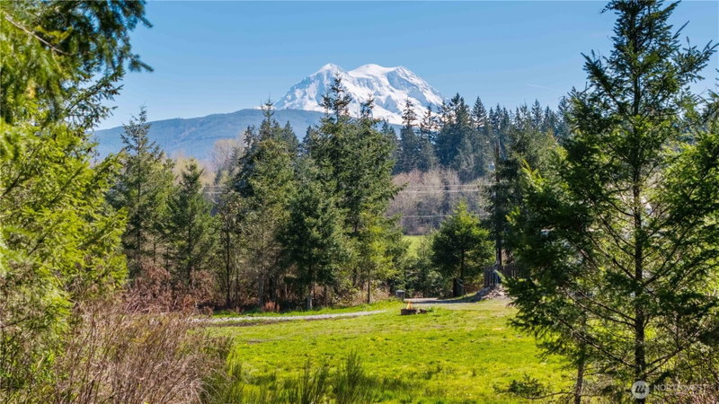 38636 Eatonville Cut Off Road E photo 2