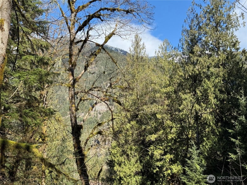 0 High Ridge Drive photo 1