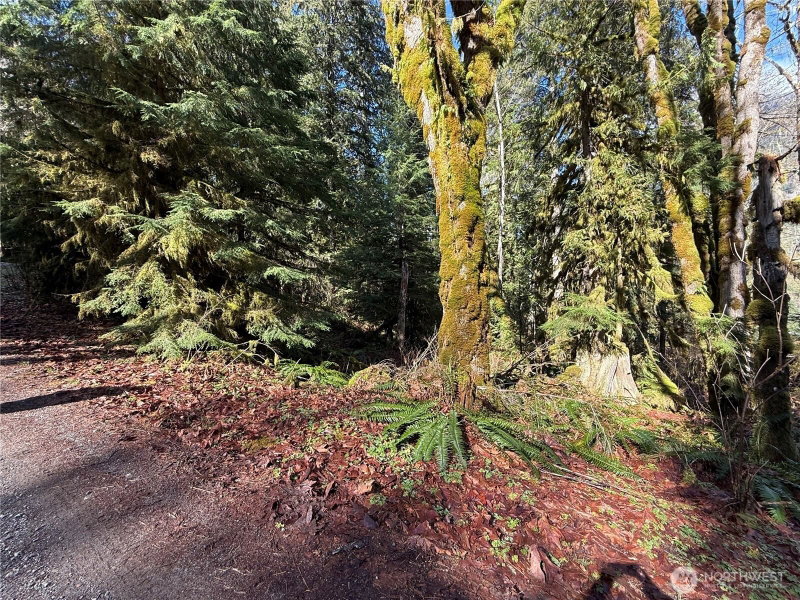 0 High Ridge Drive photo 2