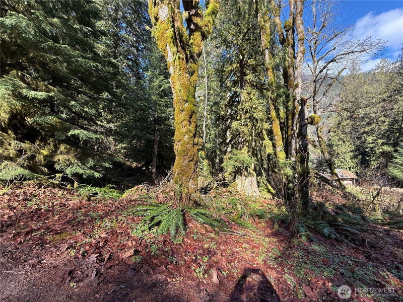 0 High Ridge Drive photo 5