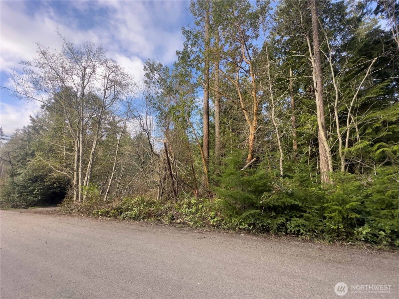 222 Law Avenue photo 2