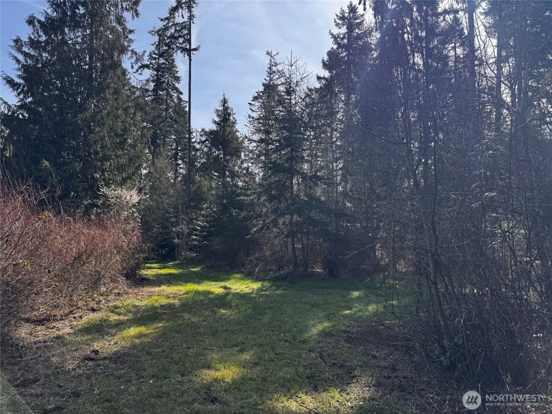 0 O'Brien Lot 1 Road photo 2