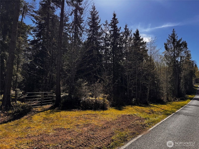 0 O'Brien Lot 1 Road photo 26