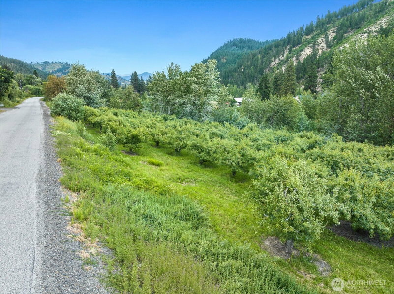 5969 Campbell Road photo 2