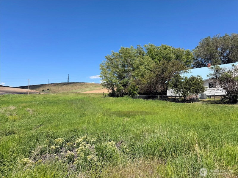 39500 N SR 21 photo 2