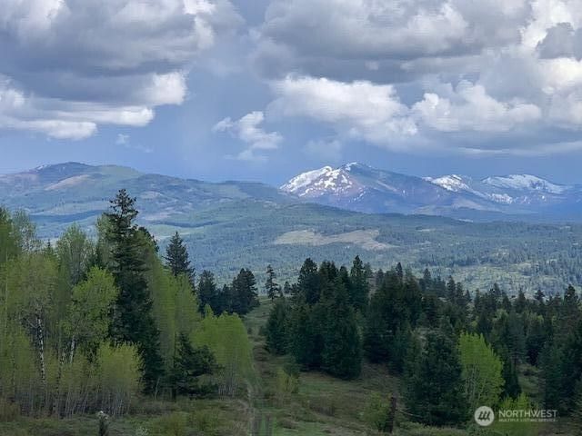 354 Vulcan Mountain Road photo 2