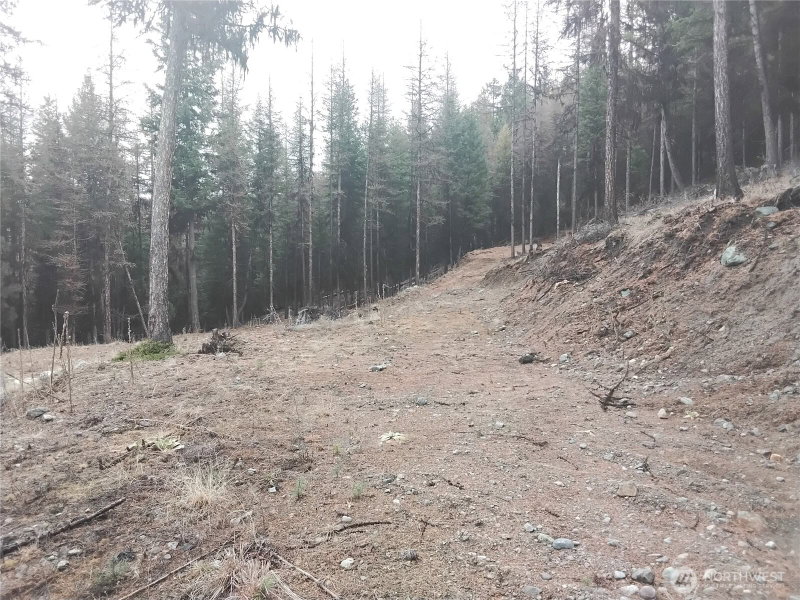 0 Cougar Loop Drive photo 23