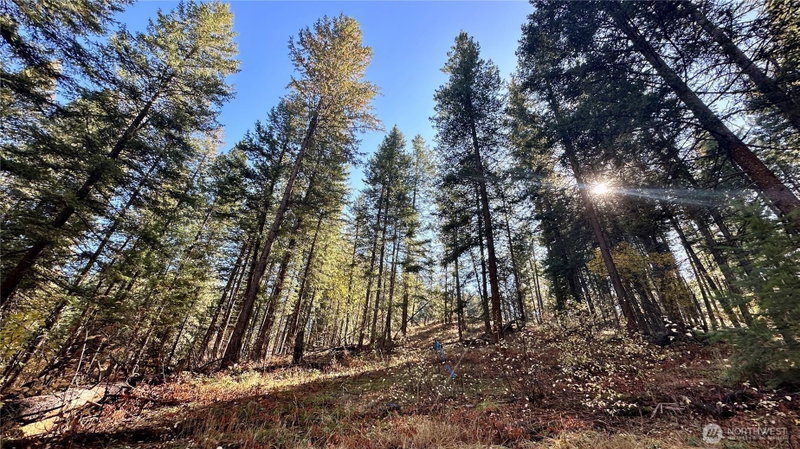 142 C Red Pine Court photo 2