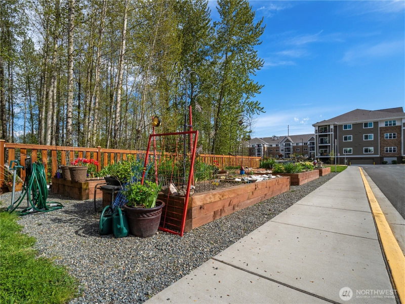 3803 17th Street SW #217 photo 39