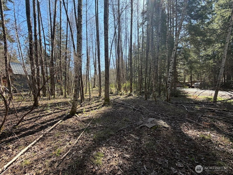 181 Nisqually Way photo 2