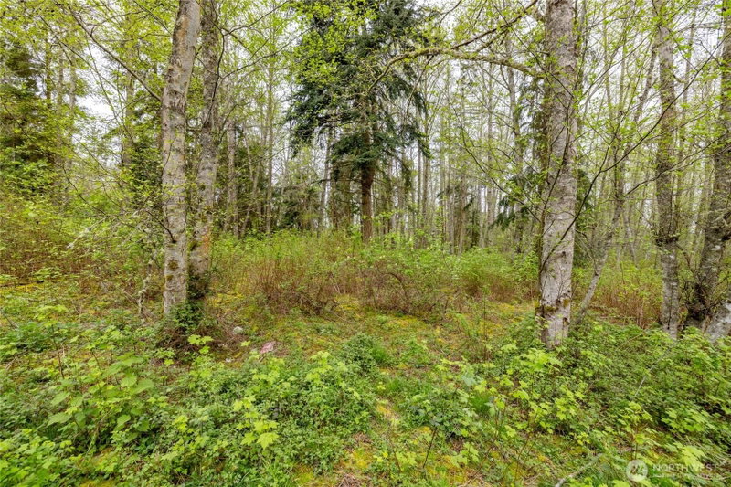 0 W Ault Field Road (Lot 1) photo 6