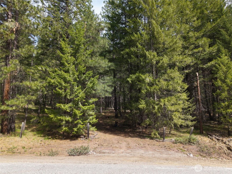 578 Lost River Road photo 2