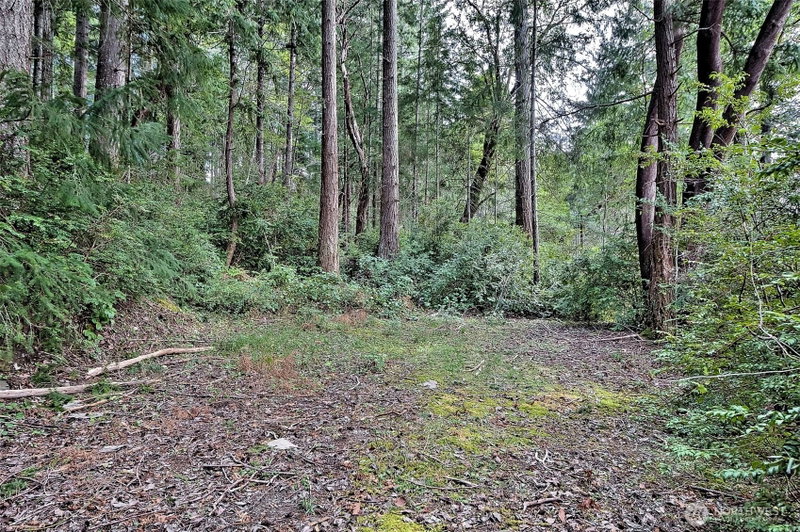 101 E Peale Drive photo 25