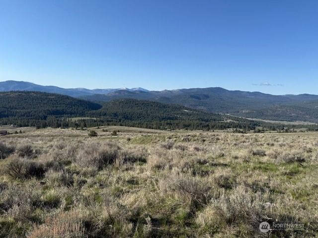 111 TBD White tail Lane photo 1
