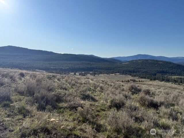 111 TBD White tail Lane photo 2