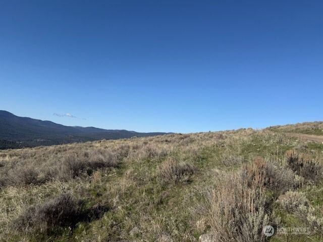 111 TBD White tail Lane photo 13