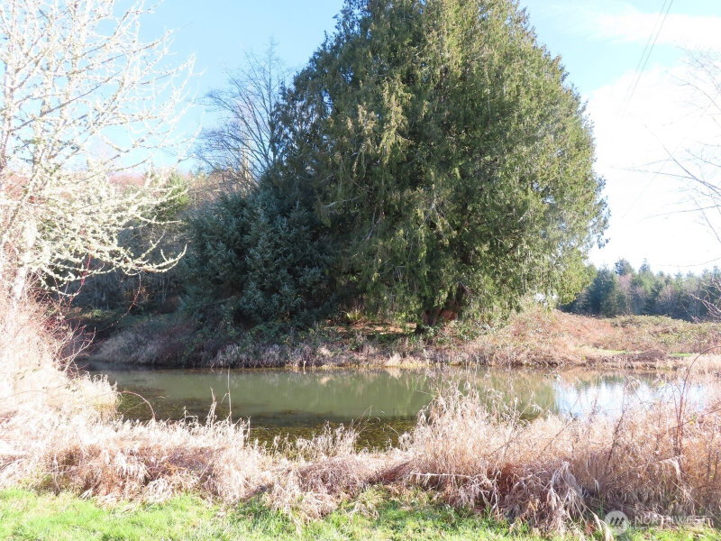0 XXX Larson Road photo 2