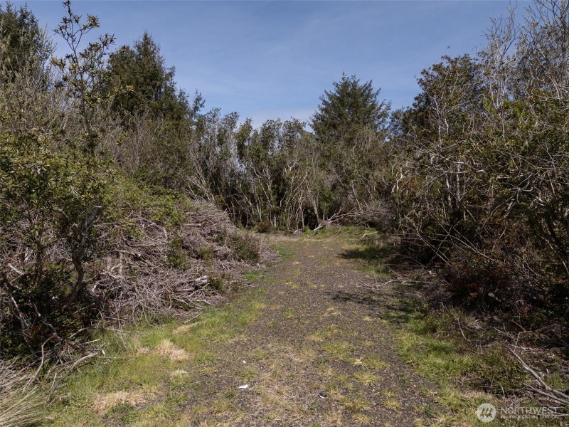 148 Marine View Drive SE photo 2