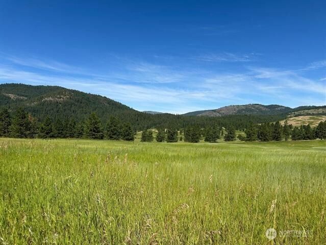 1239 Kewa Meteor Road photo 26